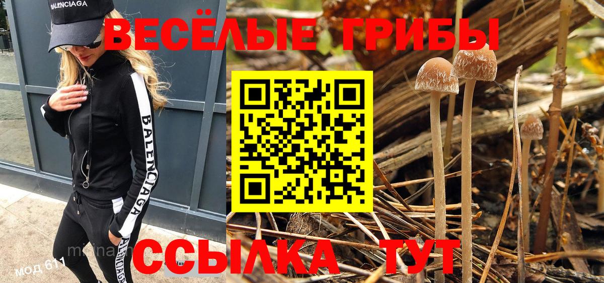 Галлюциногенные грибы GOLDEN TEACHER  Галлюциногенные грибы мицелий  Липецк  Вход с VPN 